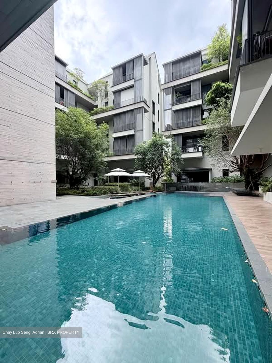 10 Evelyn (D11), Apartment #578173791